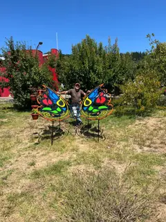 Mariposas en el jardín, otra toma.