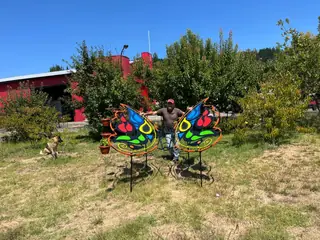 Mariposas de colores al aire libre.